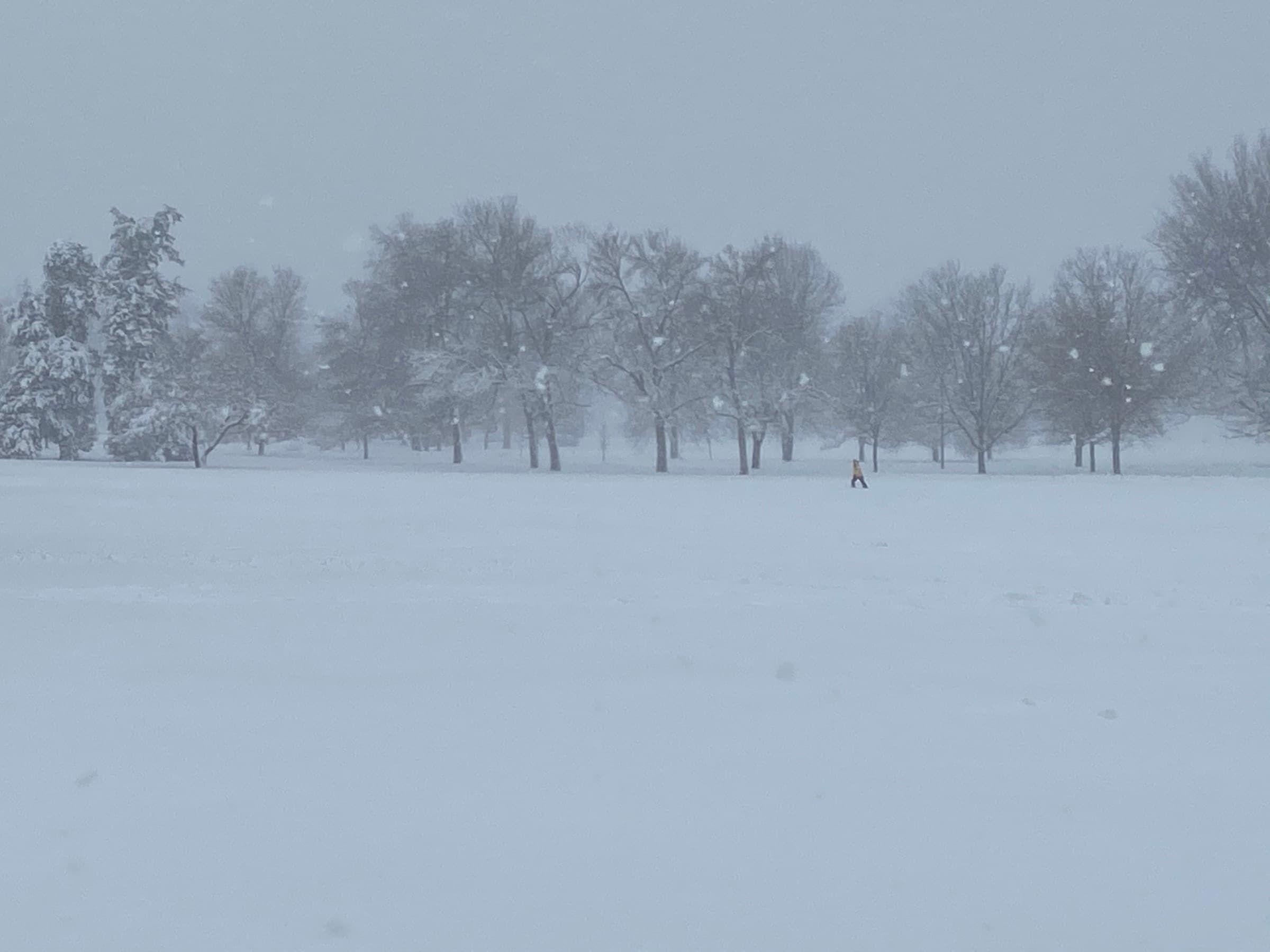 Whiteout